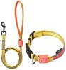 Touchdog 'Lumiglow' 2-in-1 USB Charging LED Lighting Water-Resistant Dog Leash and Collar