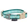 Touchdog 'Funny Bun' Tough Stitched Embroidered Collar and Leash